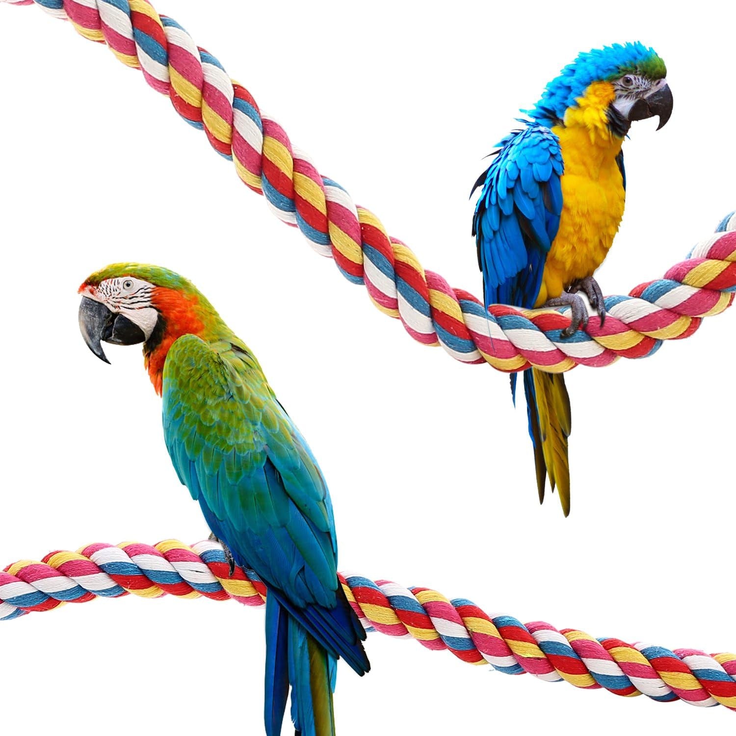 Bird Rope Perch – 21