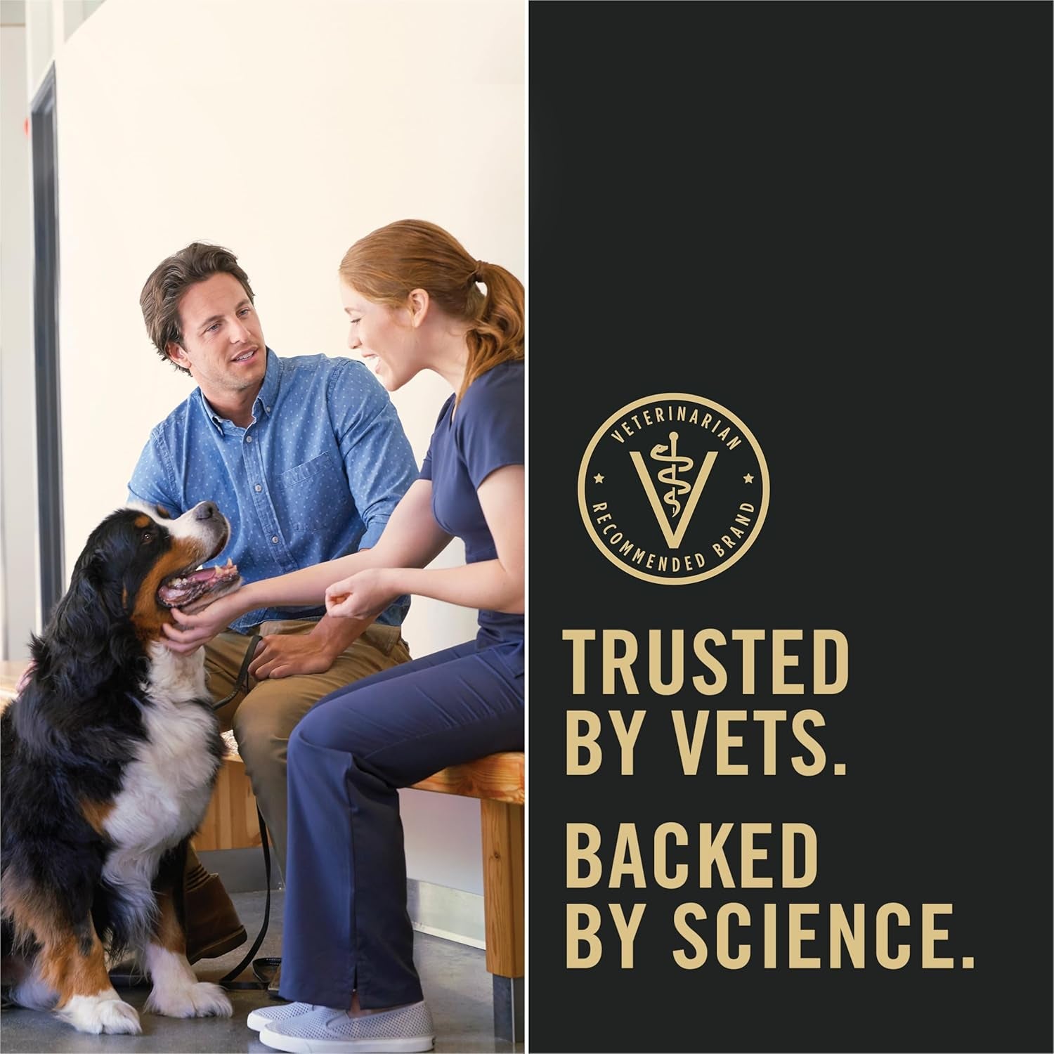 Complete Essentials, Beef and Vegetables Entree in Wet Dog Food Gravy - (Pack of 12) 13 Oz. Cans