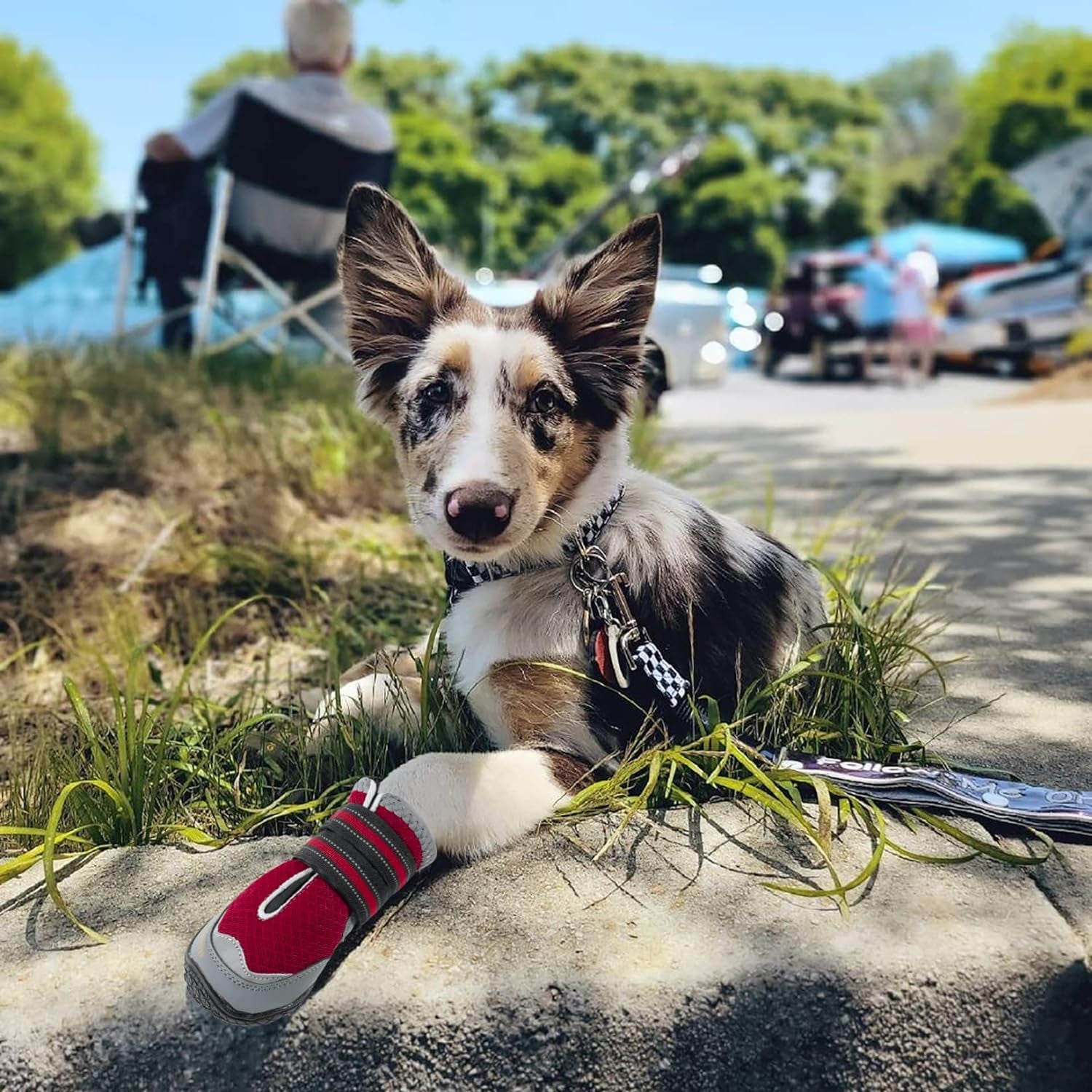 2PCS Dog Boots for Hot Pavement Shoes for Dogs Summer Heat Resistant Booties Mesh Breathable Skid-Resistant with Reflective Straps