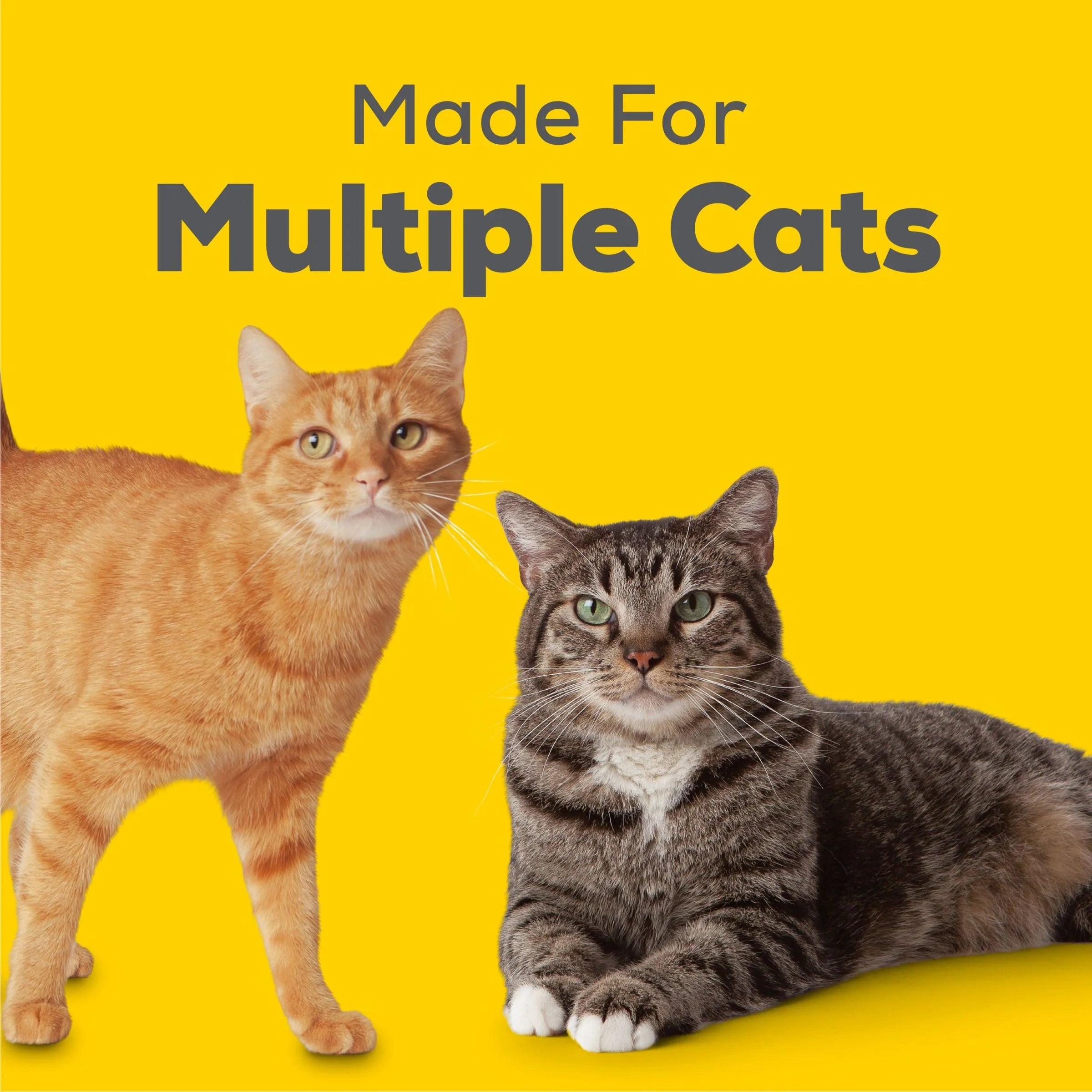 (2 Pack) Purina Breeze Non Clumping Cat Litter Pellets, Low Dust, Odor Control, (1) 3.5 Lb. Pouch