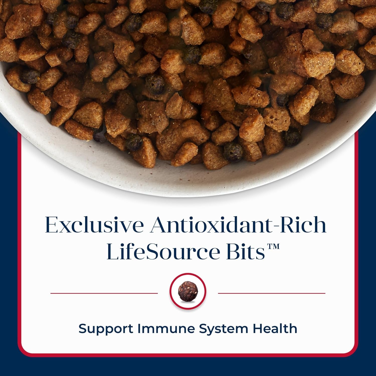 Grain-Free Dry Dog Food – Limited Ingredient, Salmon Recipe (22 lb)