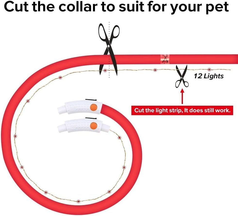 USB Rechargeable LED Dog Collar – Glow-in-the-Dark Silicone (Red)