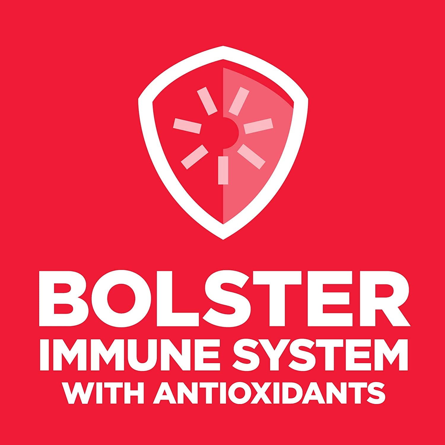 Large Breed Puppy Dry Dog Food – Chicken & Brown Rice, 15.5 lb