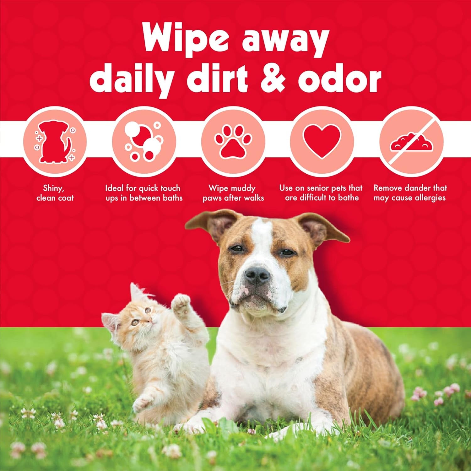 Pet Wipes for Dogs & Cats – Large, Odor-Removing & Gentle Cleaning (100 Count)
