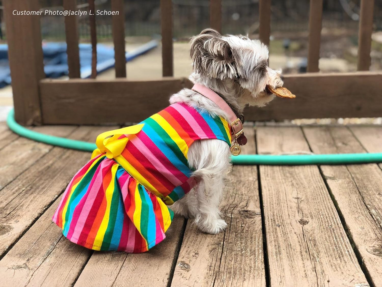 Rainbow Striped Dog Dress – Breathable Cotton, Summer Outfit (Small)