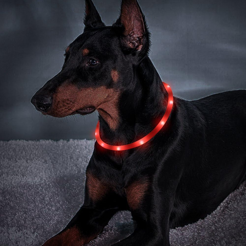 USB Rechargeable LED Dog Collar – Glow-in-the-Dark Silicone (Red)