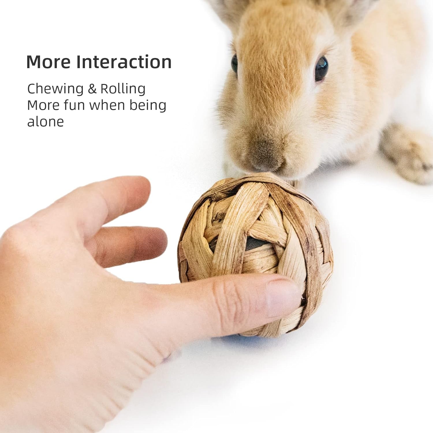Small Animal Chew & Activity Balls – Rolling Toys for Rabbits, Guinea Pigs, Chinchillas