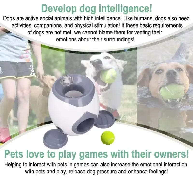 Automatic Dog Ball Launcher – Interactive Tennis Ball Machine & Training Feeder
