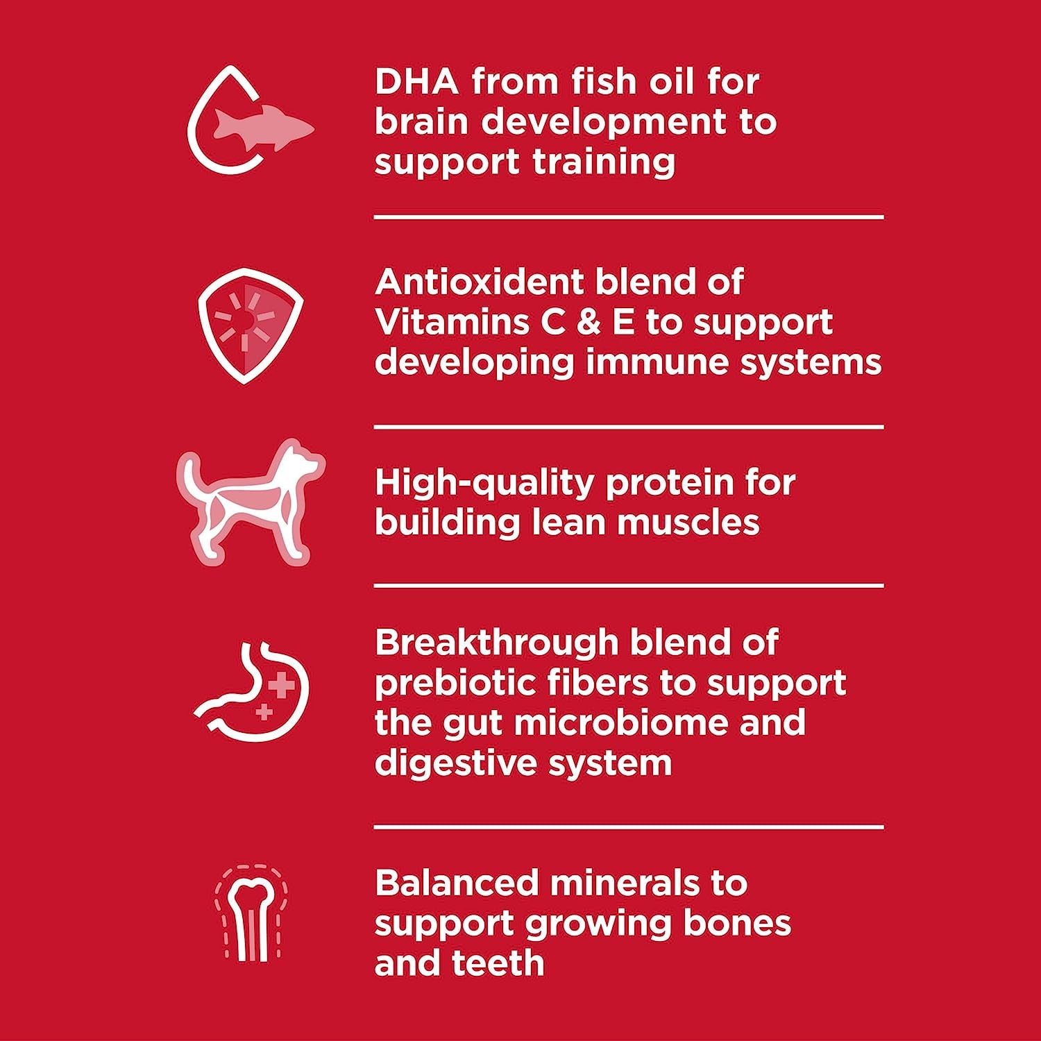 Large Breed Puppy Dry Dog Food – Chicken & Brown Rice, 15.5 lb