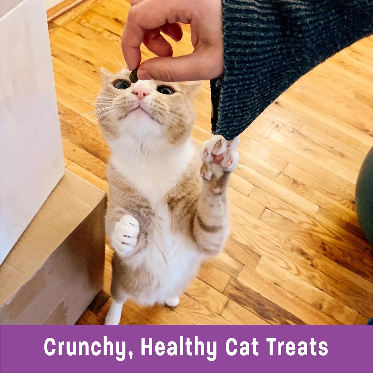 Kittles Grain-Free Cat Treats – Tuna & Cranberry Crunch (6oz)