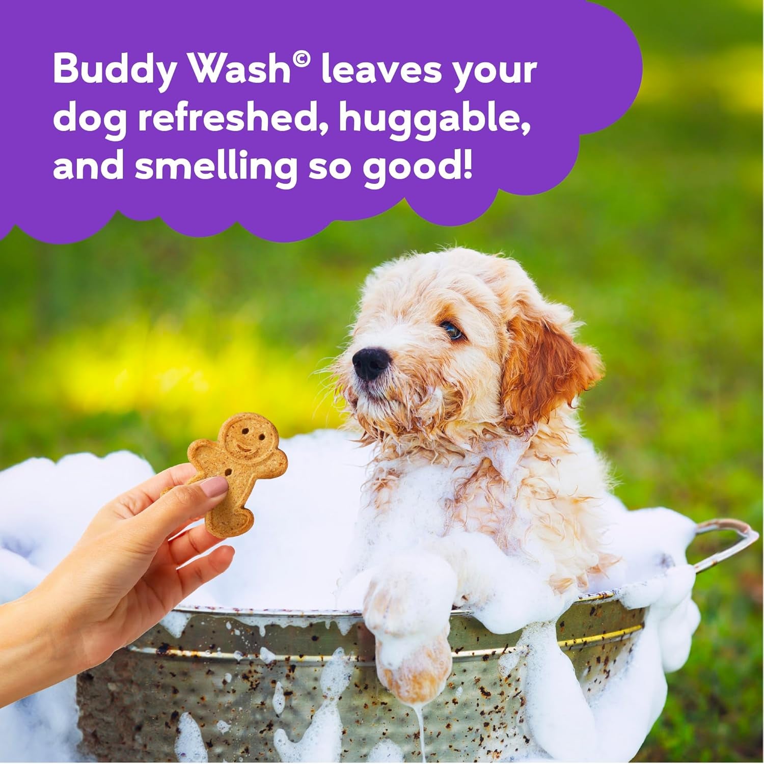 Buddy Wash 2-in-1 Dog Shampoo & Conditioner – Lavender & Mint (1 Gal)