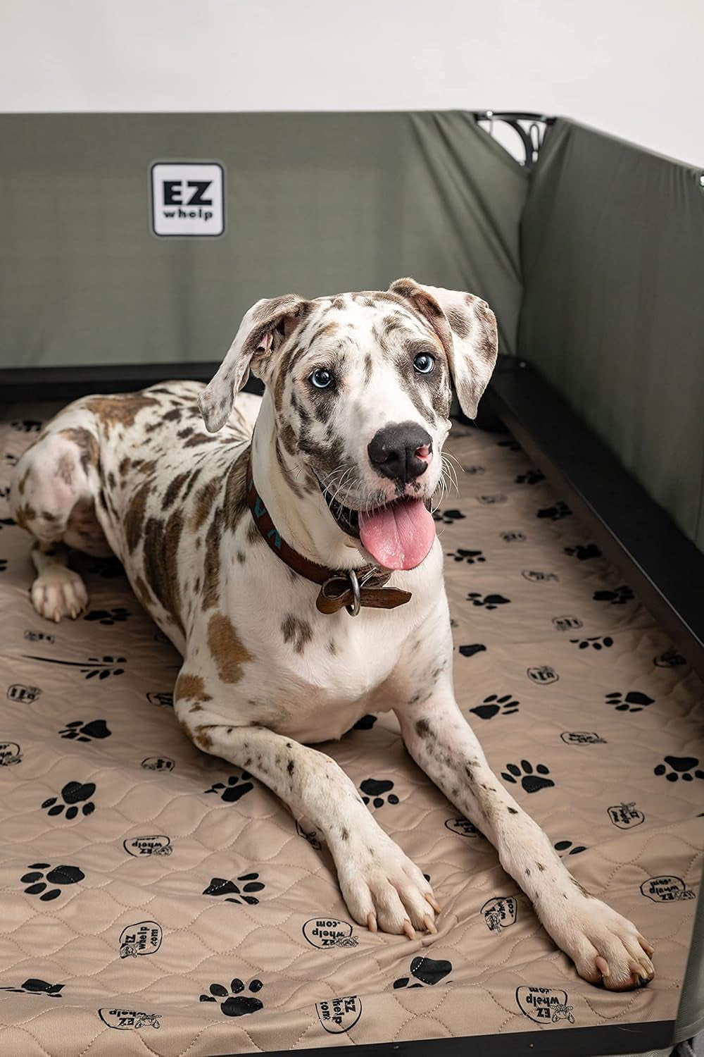 Reusable Washable Dog Pee Pads – Waterproof Potty & Whelping Mats (36