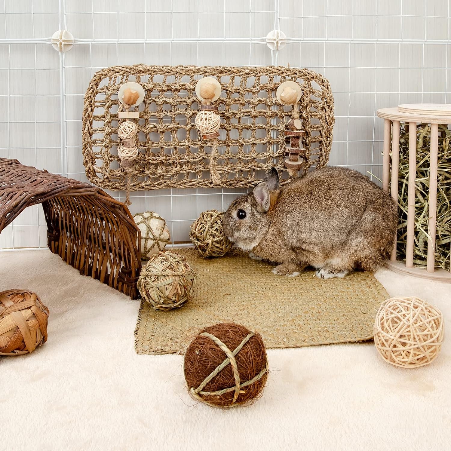 Small Animal Chew & Activity Balls – Rolling Toys for Rabbits, Guinea Pigs, Chinchillas