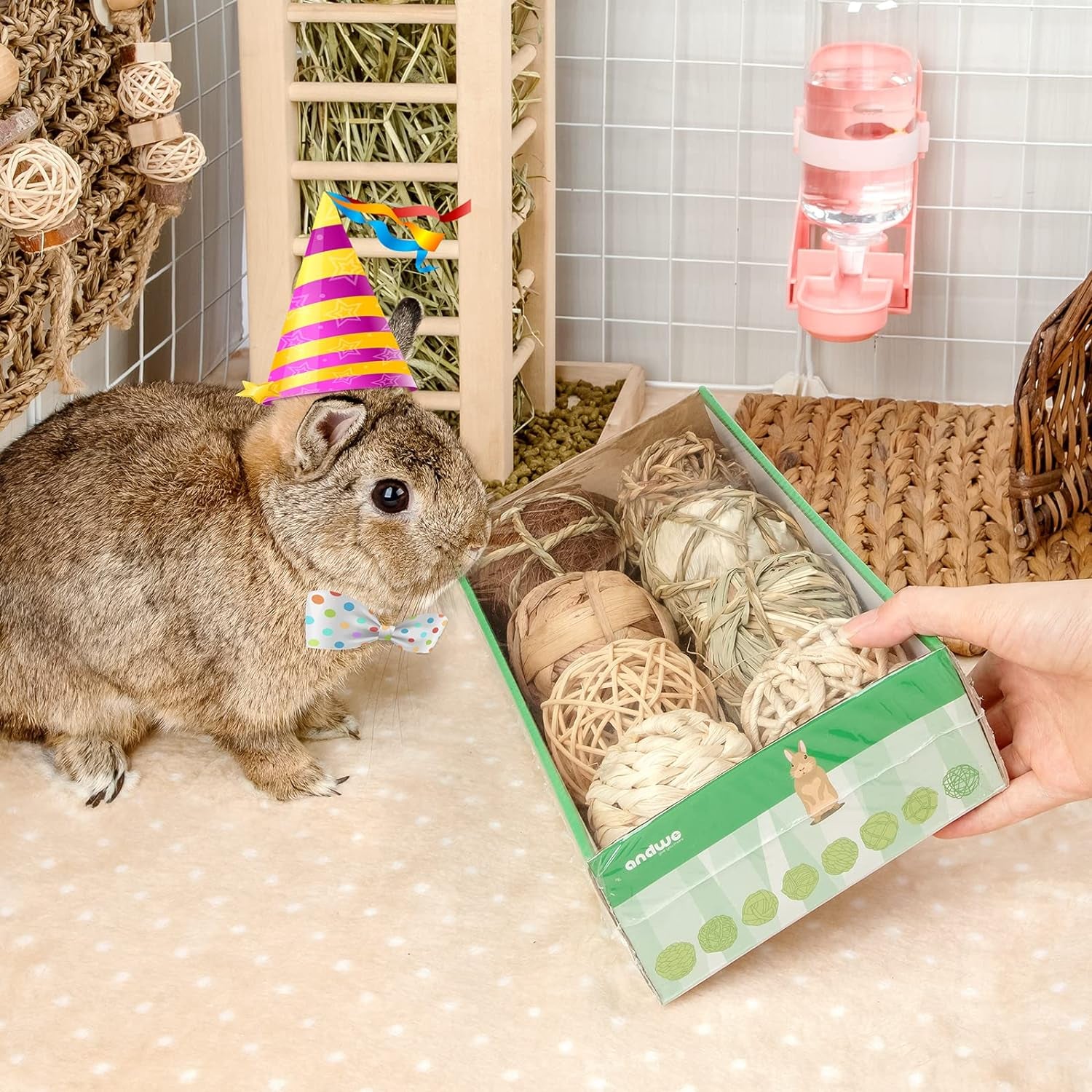 Small Animal Chew & Activity Balls – Rolling Toys for Rabbits, Guinea Pigs, Chinchillas