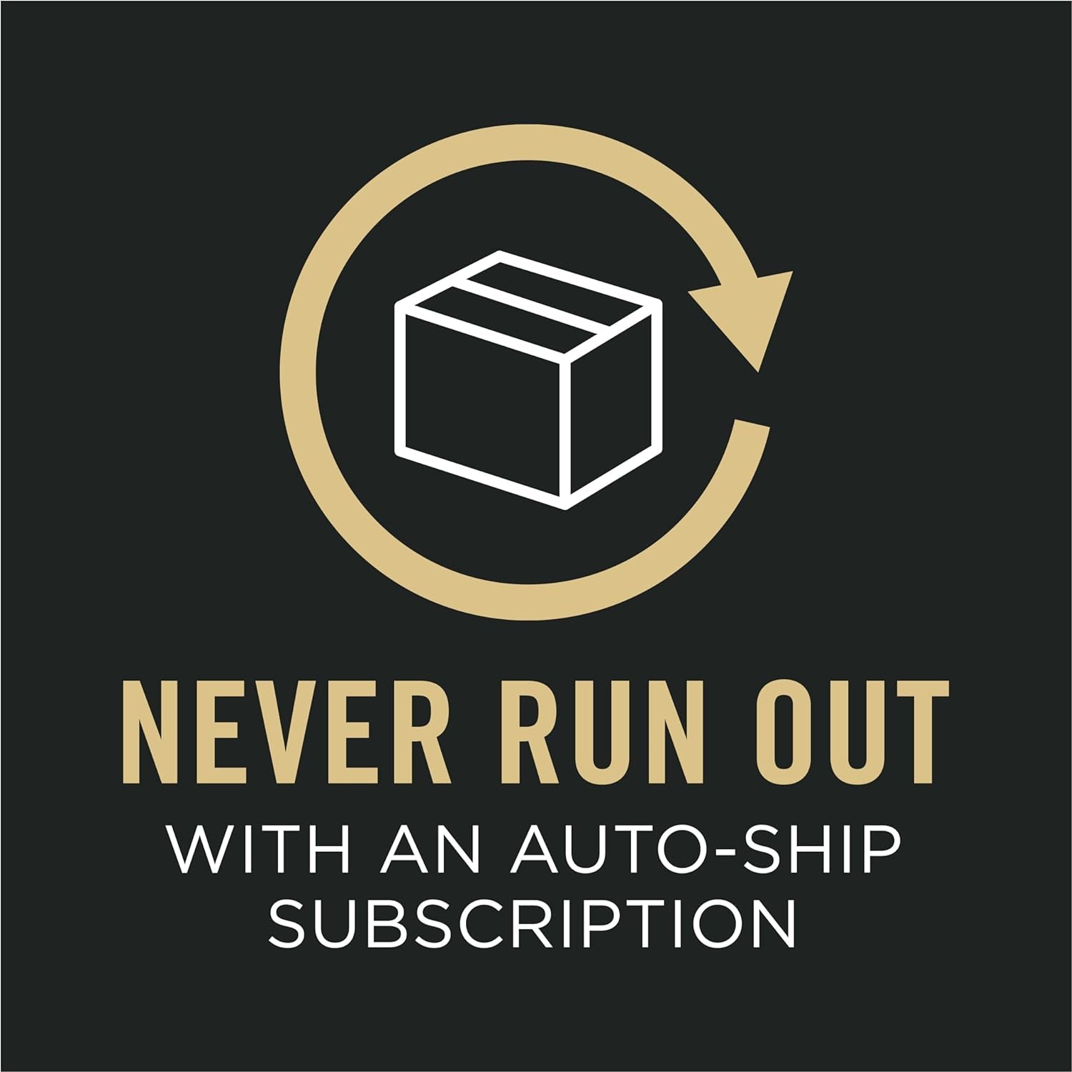 Complete Essentials Wet Dog Food – Beef & Veggies in Gravy (12-Pack, 13 oz Cans)