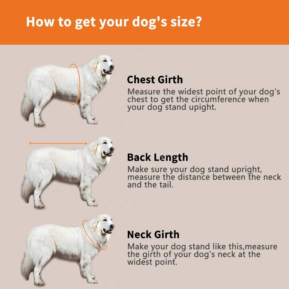 Dog Life Jacket – Adjustable, Shark Design, for Short-Nosed Breeds (M, Orange)