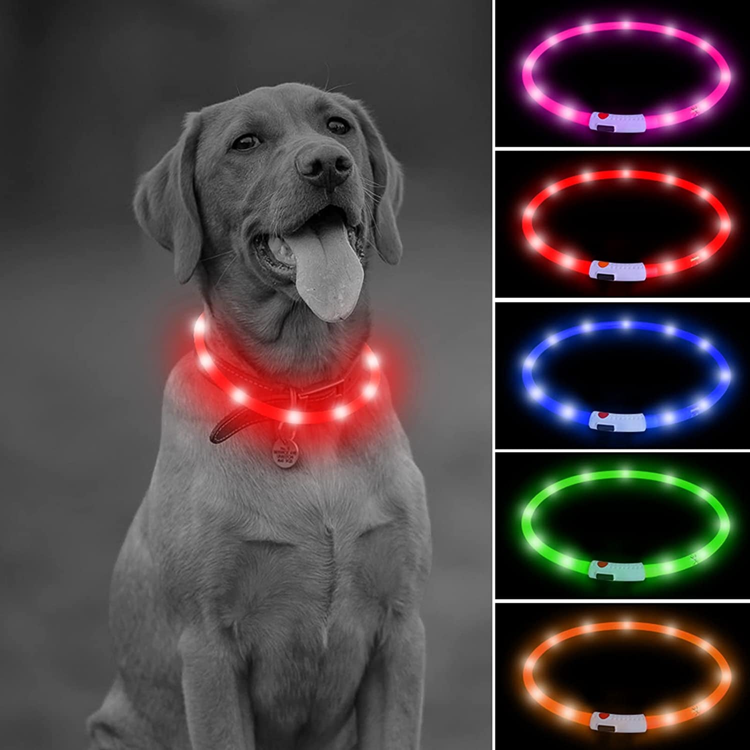 USB Rechargeable LED Dog Collar – Glow-in-the-Dark Silicone (Red)