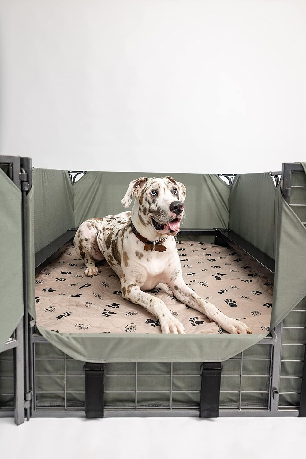 Reusable Washable Dog Pee Pads – Waterproof Potty & Whelping Mats (36