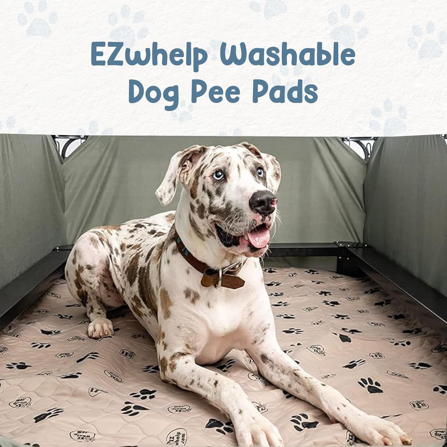 Reusable Washable Dog Pee Pads – Waterproof Potty & Whelping Mats (36