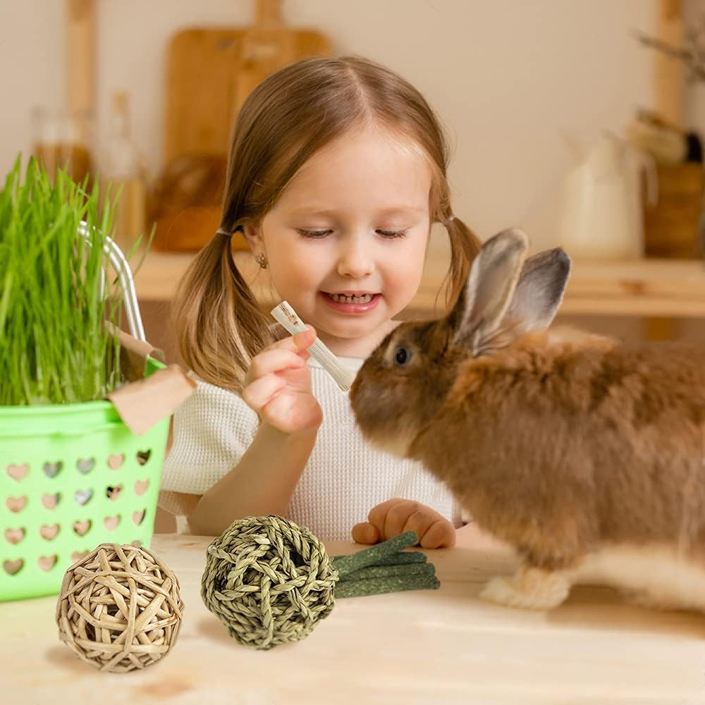 Natural Rabbit & Small Animal Chew Toys – Timothy Hay, Apple Wood, Handmade Treats