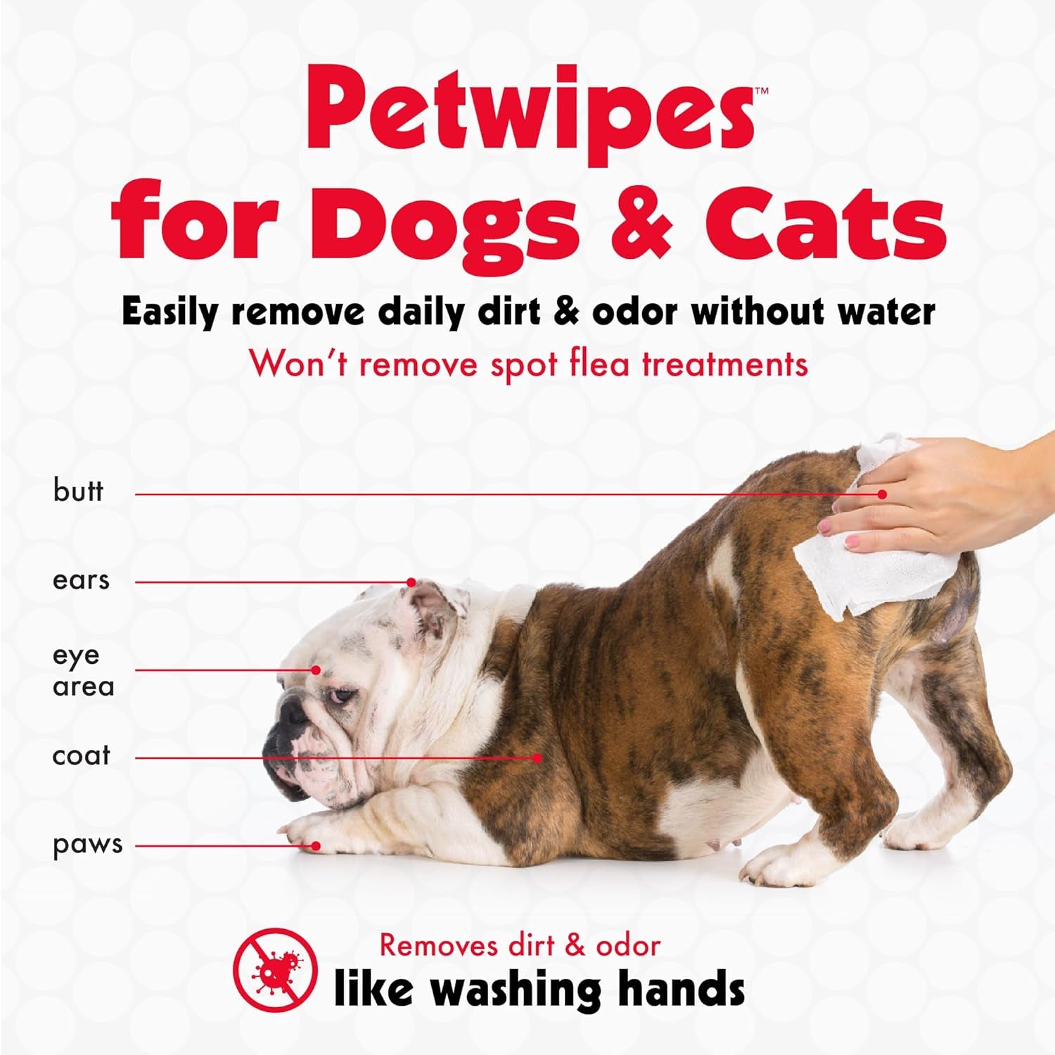 Pet Wipes for Dogs & Cats – Large, Odor-Removing & Gentle Cleaning (100 Count)