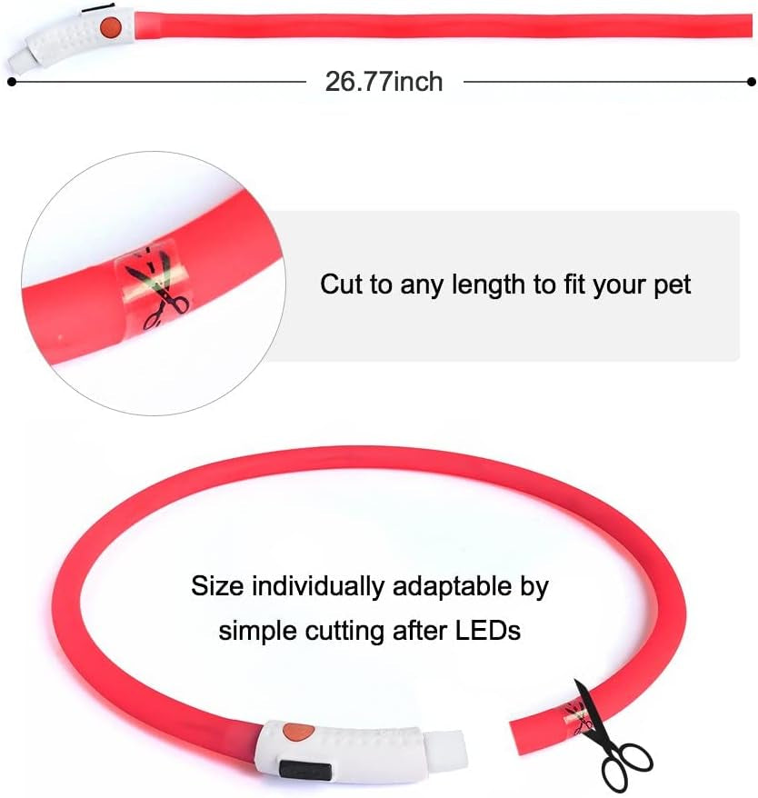 USB Rechargeable LED Dog Collar – Glow-in-the-Dark Silicone (Red)