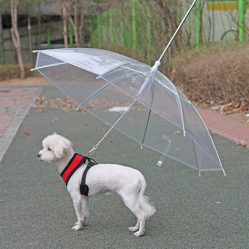 Pet Umbrella Leash – Rain & Snowproof, Adjustable for Small Dogs