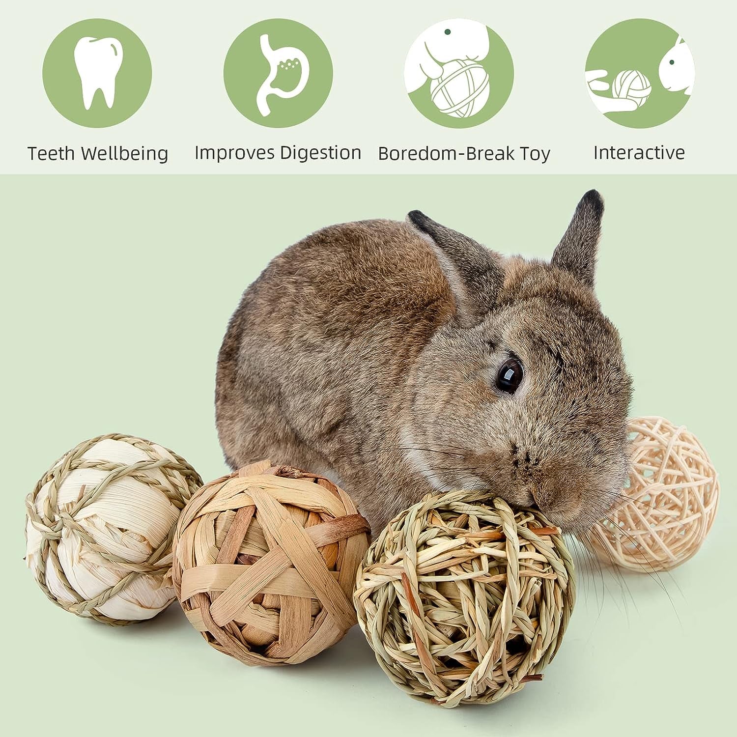 Small Animal Chew & Activity Balls – Rolling Toys for Rabbits, Guinea Pigs, Chinchillas