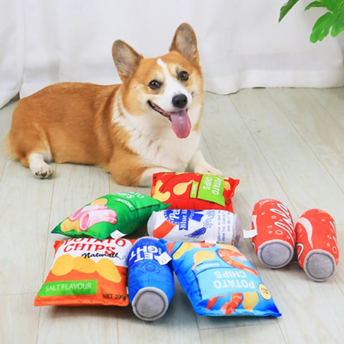 2-Pack Plush Squeaky Dog Toys – Beer Can & Chicken Leg Chew Set